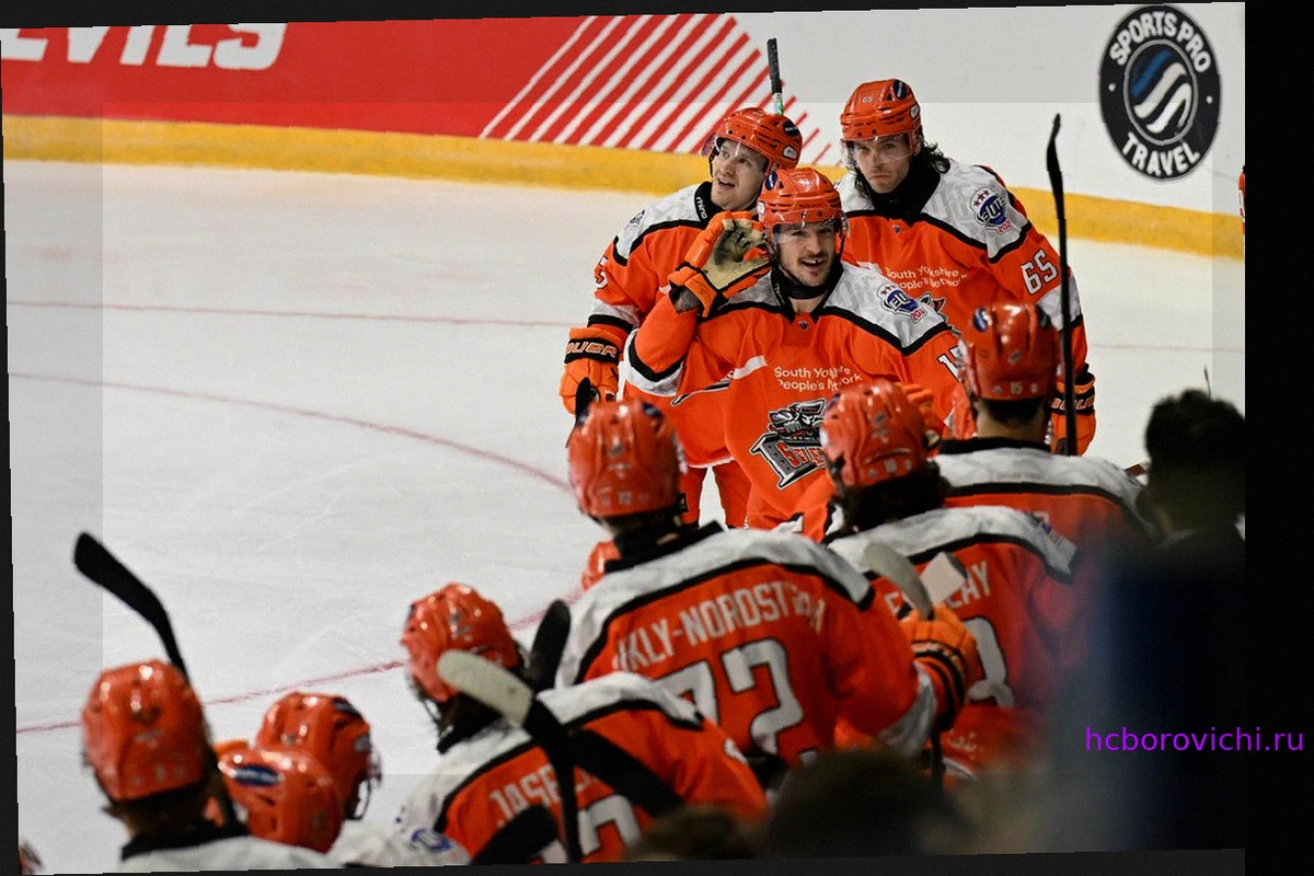 «Шеффилд Стилерс» в финале плей-офф Элитной лиги: Комментарии Фокса, Хёрда и Критчлоу